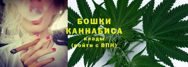 крисы Сатка