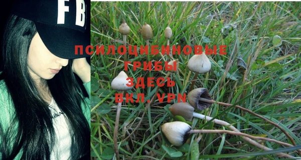 дживик Бородино