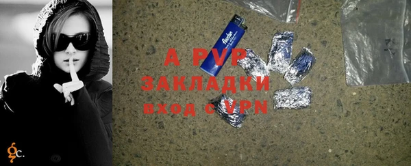 дживик Бородино