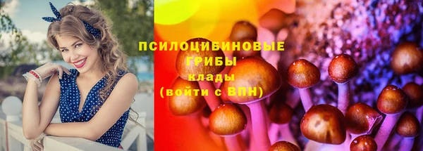 a pvp Богородицк