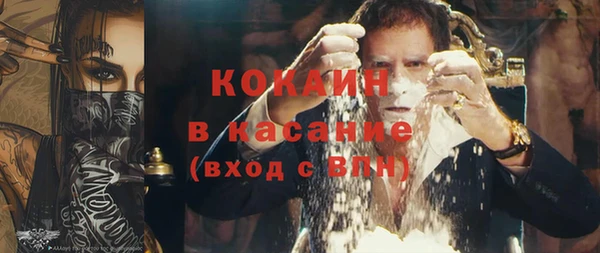 дживик Бородино