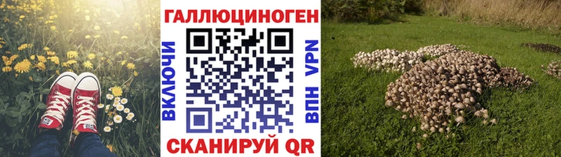 Псилоцибиновые грибы прущие грибы закладки Туран
