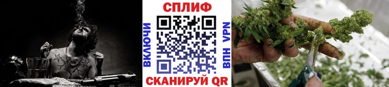 Шишки марихуана конопля  Туран 